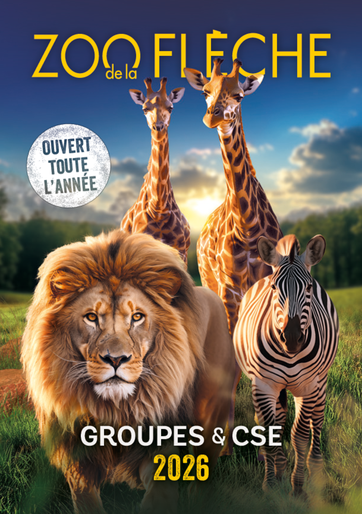 Brochure Groupes & CSE