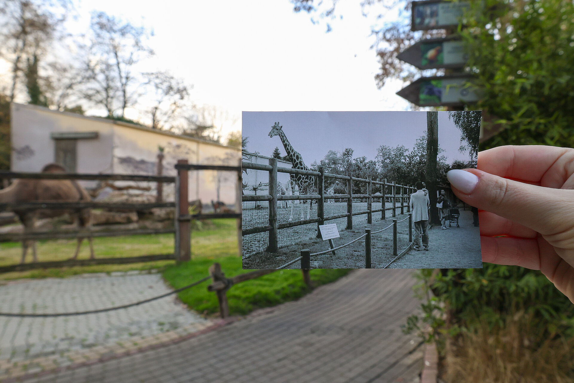 80 ans d'histoire & de passion