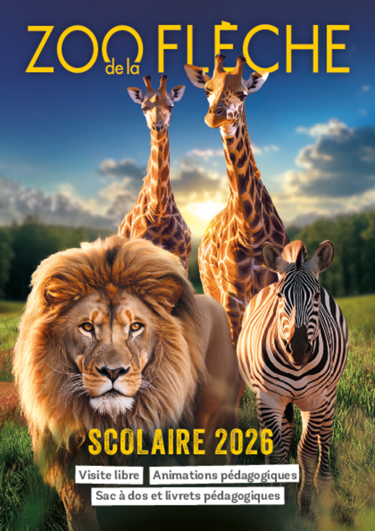 Brochure Scolaires