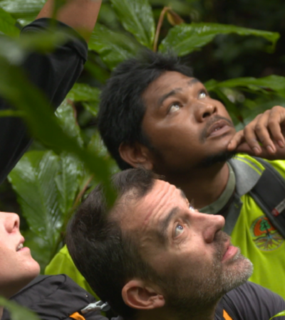 MISSIONS & CONSERVATION 