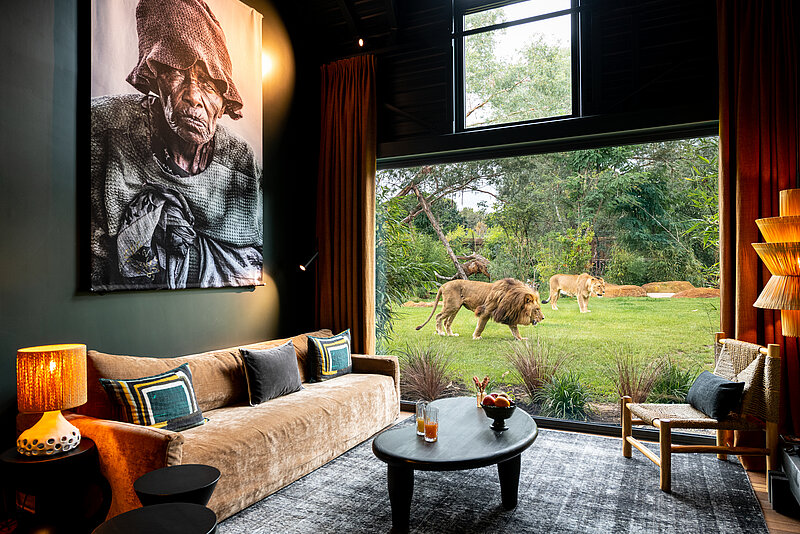 SAFARI SUITES 